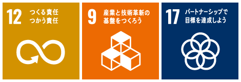 SDGs 12 9 17